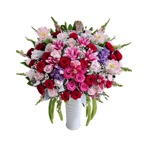 Bunga Meja Camellia