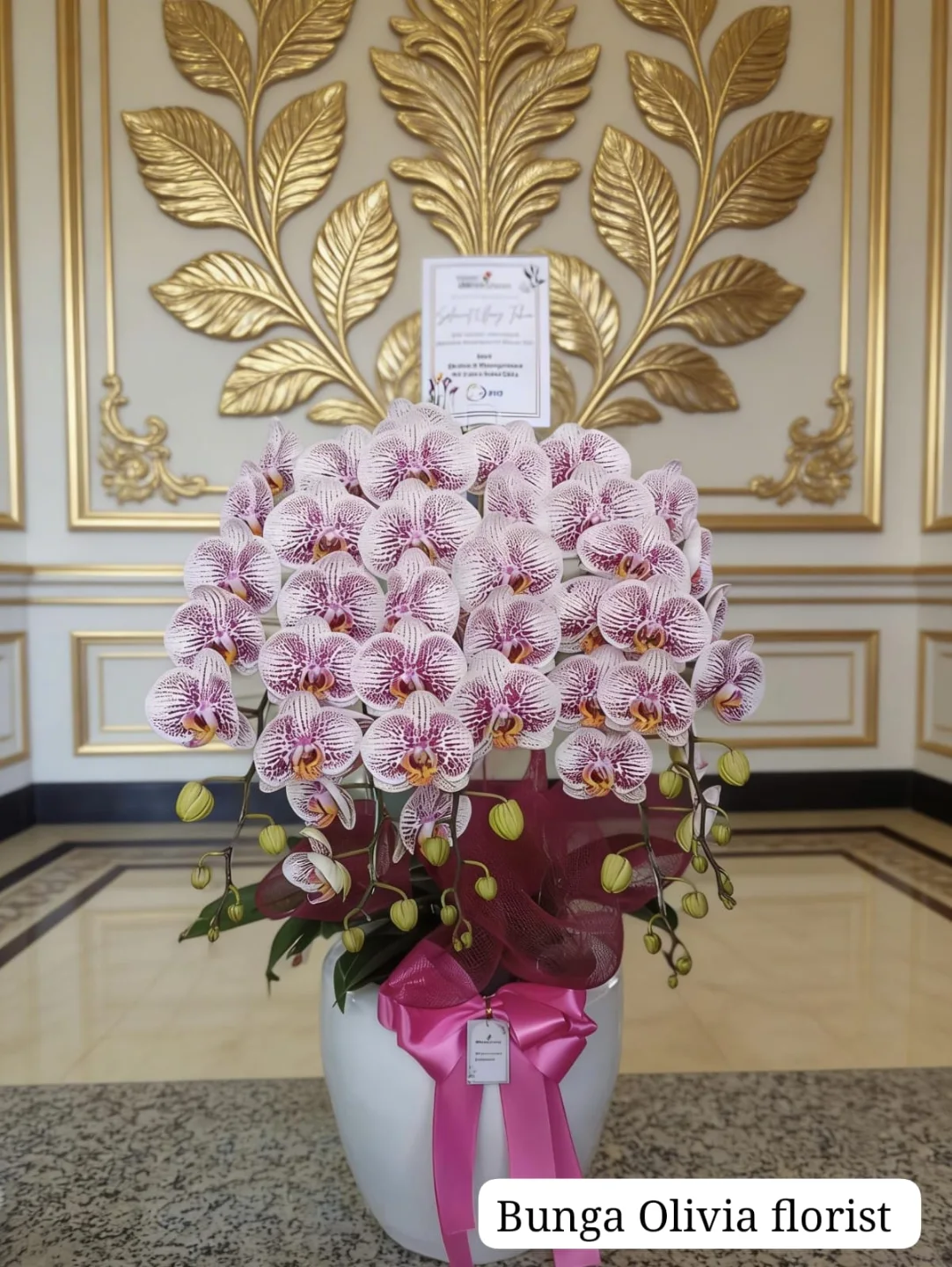 Anggrek Bulan WF-AGR-S005 - WinnerFleur