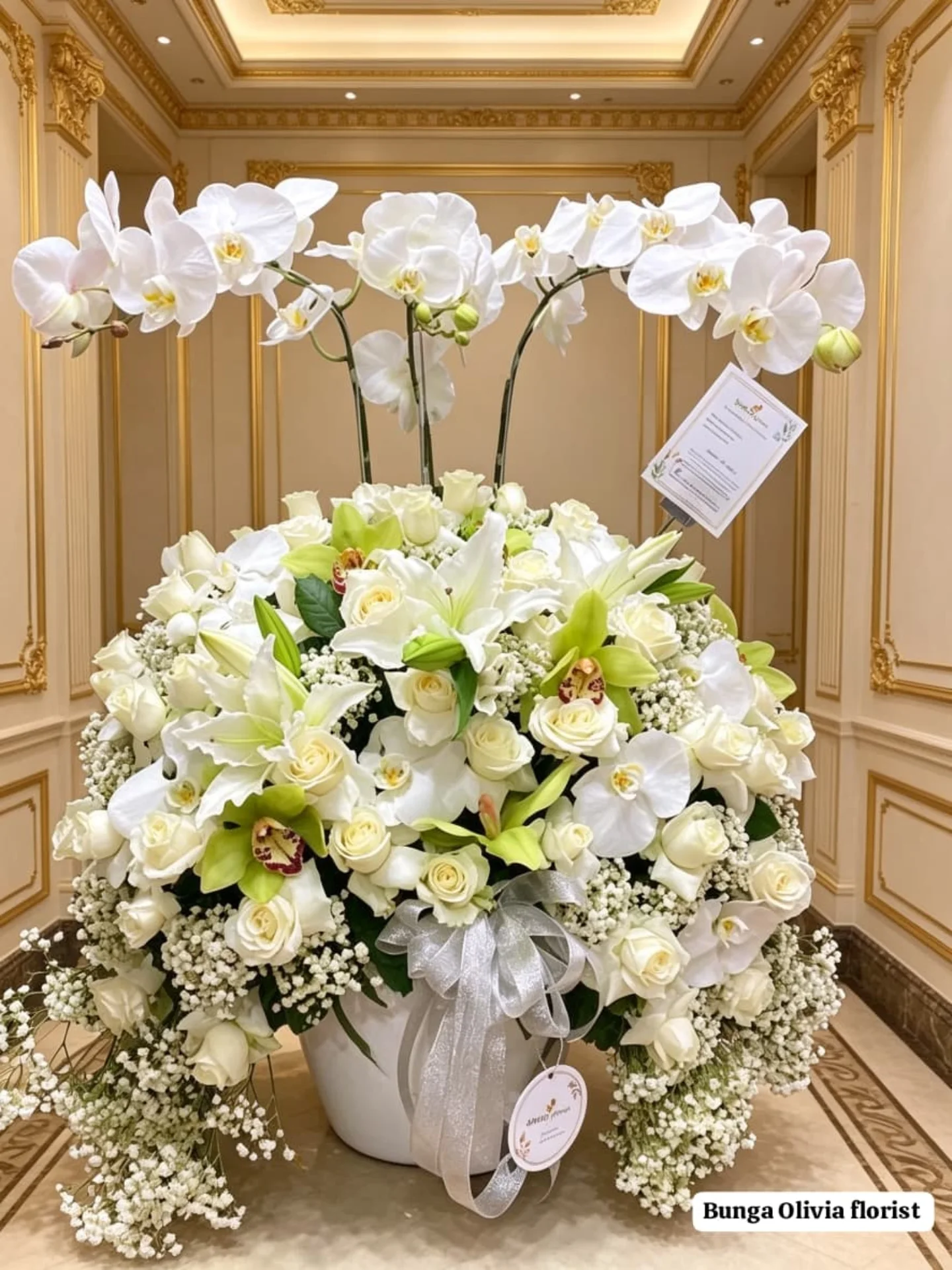 Anggrek Bulan WF-AGR-S008 - WinnerFleur