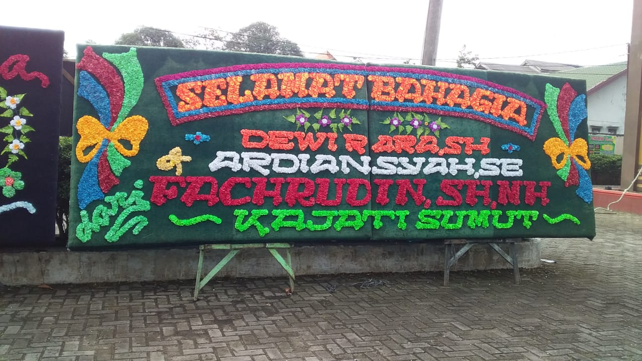 Bunga papan bengkulu BPS-01