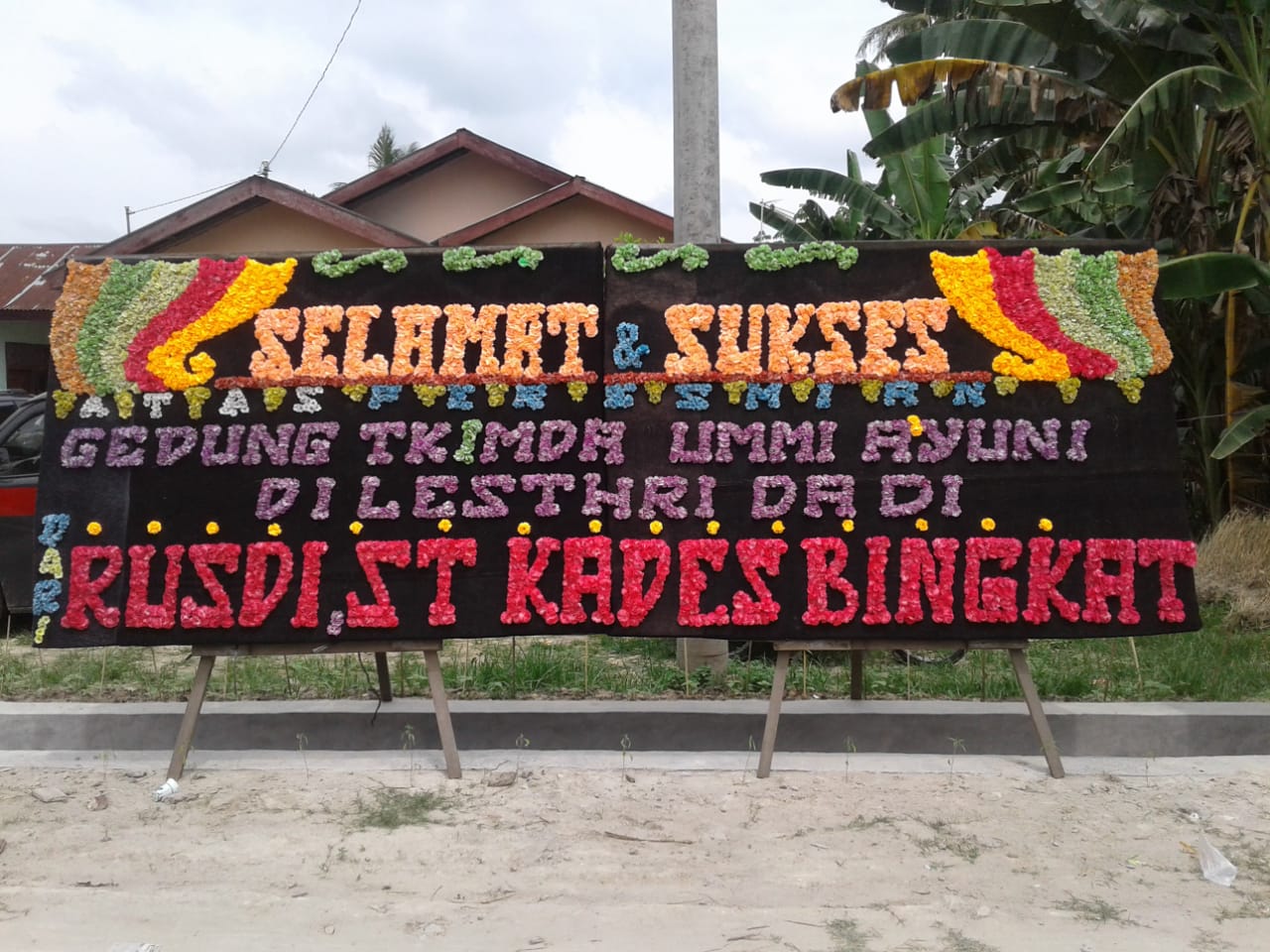 Bunga papan bengkulu BPS-02
