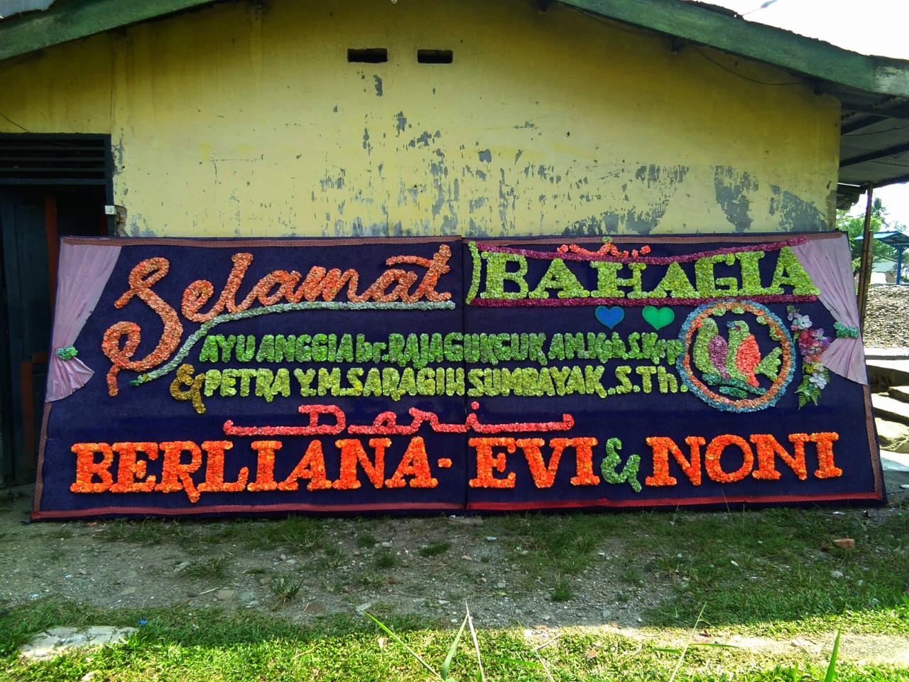 Bunga papan bengkulu BPS-03