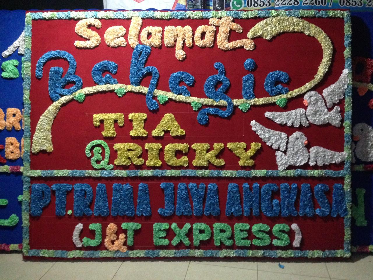 Bunga papan bengkulu BPS-04