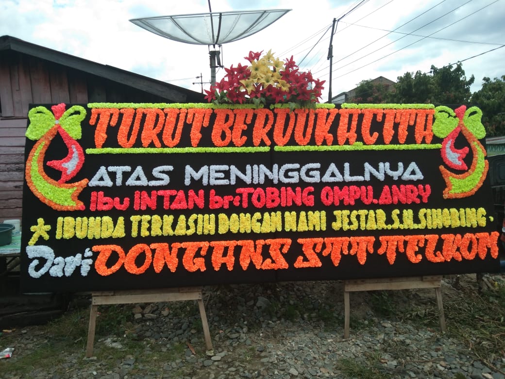 Bunga papan bengkulu BPS-06